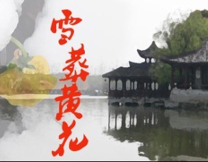 ѩ��ƻ�����