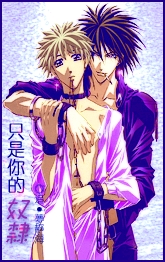 只是你的奴隶封面