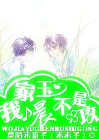 �Ҽ��񳿲��ǹ�����