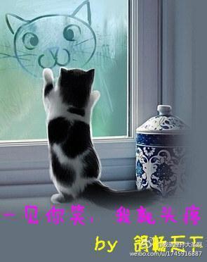 一见你笑,我就头疼封面