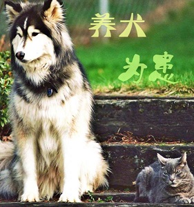 ��ȮΪ������