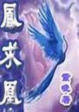 凤求凰 全+番封面