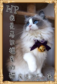 [hp]�����������ҵ�è����