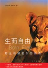 ��������Ұ��ĸʨ����ɯ����