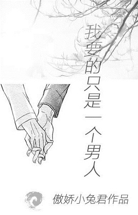 我要的只是一个男人封面