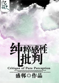 纯粹感性批判封面