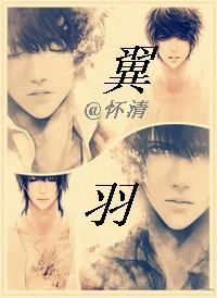 翼羽封面