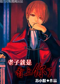 老子就是看上你了封面
