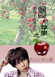 愤怒的苹果封面