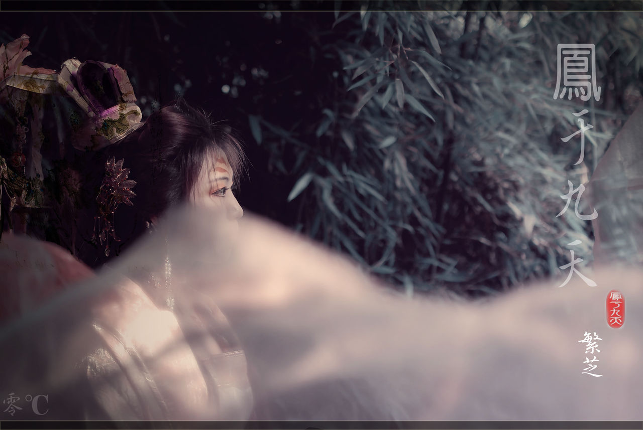 凤于九天 第10部 飞流激湍封面