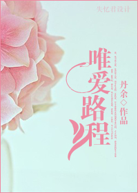 唯爱路程封面