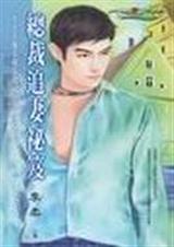 总裁追妻秘笈封面