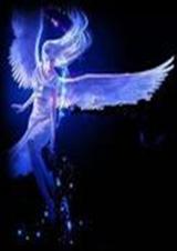 ������ʹ����