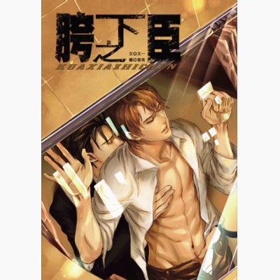 胯下之臣封面