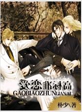 高标准恋爱封面