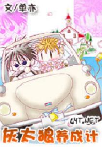 ��̫�����ɼƷ���