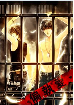 情网之偏执爱封面