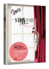 只婚不爱封面