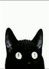 ��һ����