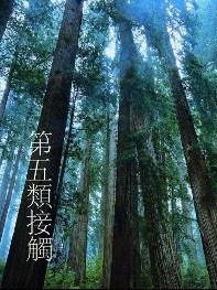 ������Ӵ�