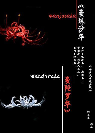 曼珠沙华,曼陀罗华封面