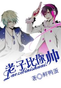 ���ӱ���˧������