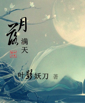 异世之月落满天封面