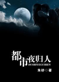 都市夜归人封面