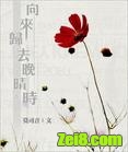 向来归去晚晴时封面