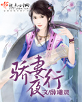 骄妻夜行封面