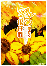 ڤ�������