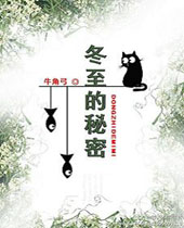 冬至的秘密封面