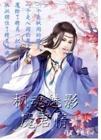 枫魂魅影魔君情封面