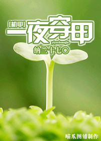 [����]һҹ����