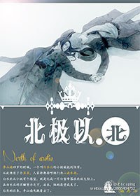 北极以北封面