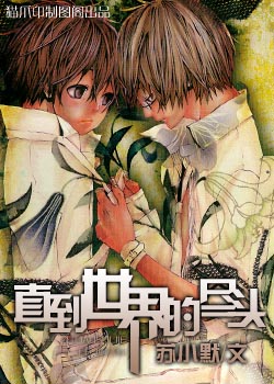 直到世界的尽头封面