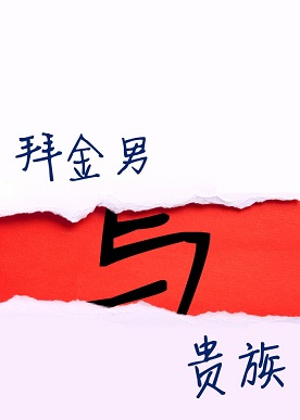 星际之拜金男与贵族封面