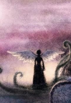 �����³ɵĿ���ʦ����