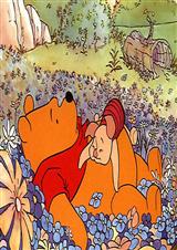 农村那些事 娃娃婚姻封面