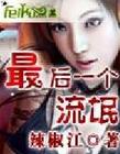 最后一个流氓封面