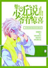 嘘!听说少爷有惊喜封面