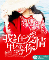 我在爱情里等你封面