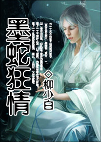 ī�ߴ������