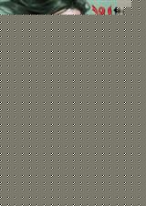 有妖气:蛇王的倒霉妃 魔法幻情封面