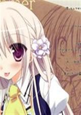 网王之遇到我的真爱封面