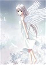 ������ʹ������