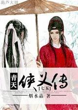 青天侠义传封面
