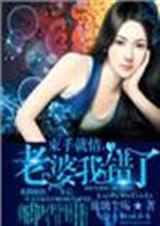 束手就情,老婆我错了封面