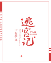 宠妃逃宫记封面