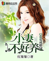 �ǰ��ɻ�С�޲���������